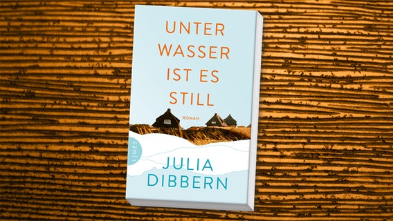 Buchcover: Julia Dibbern - Unter Wasser ist es still © Limes 