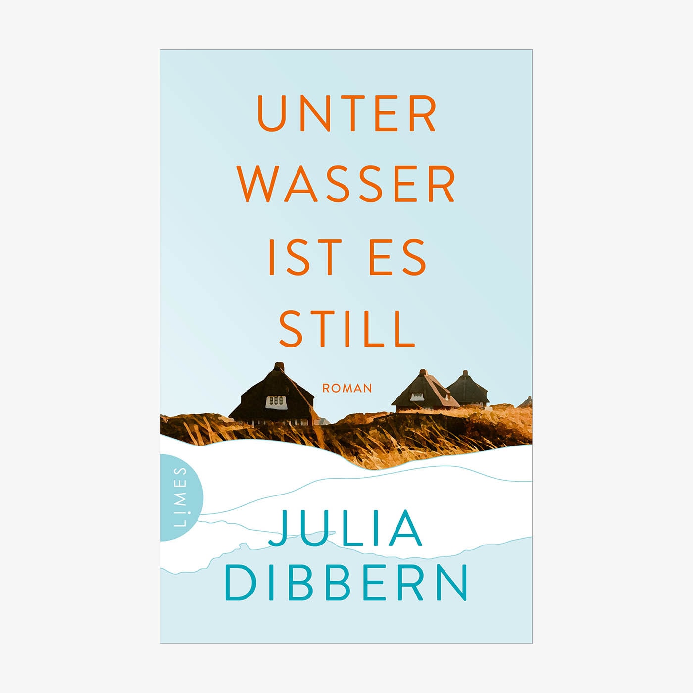 Neue Bücher: "Unter Wasser ist es still" von Julia Dibbern