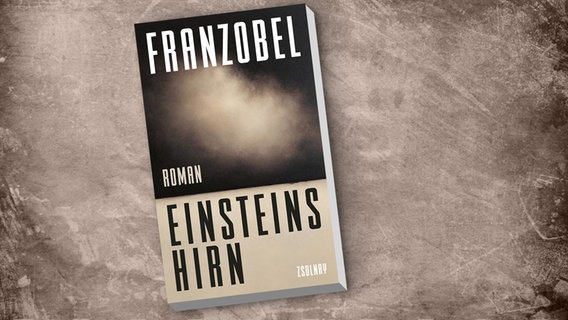 Buch-Cover: Franzobel - Einsteins Hirn © Zsolnay Verlag 