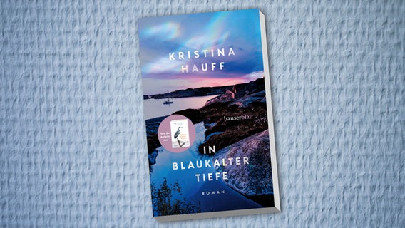 Buchcover: Kristina Hauff - In blaukalter Tiefe © Hanser Verlag 