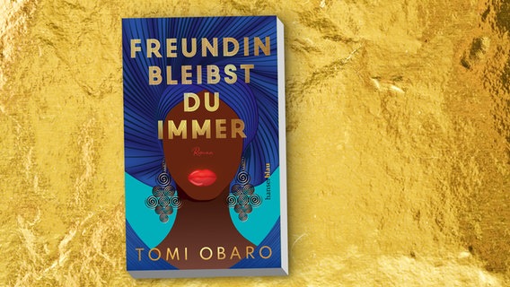 Buchcover: Tomi Obaro - Freundin bleibst du immer © Hanser blau Verlag 