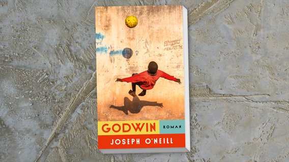 Buch-Cover: Joseph O’Neill, "Godwin" © Rowohlt Verlag 
