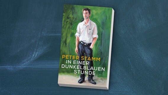 Buch-Cover: Peter Stamm - In einer dunkelblauen Stunde © S. Fischer Verlag 