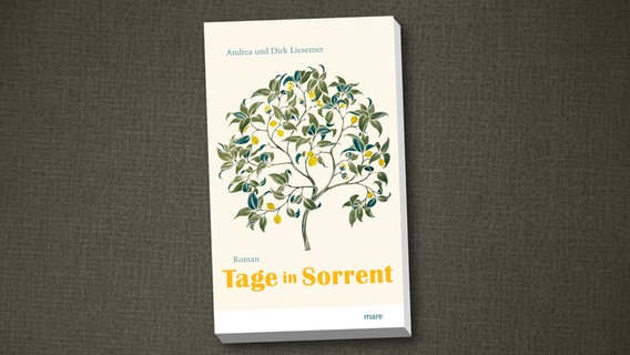 Cover des Buches "Tage in Sorrent" von Andrea und Dirk Liesemer © mare Verlag 