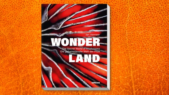 Buchcover: Jan Vermeer - Wonderland © teNeues Verlag 