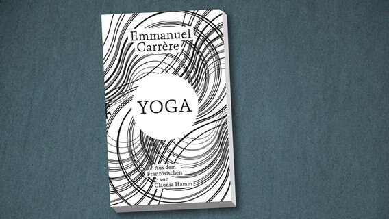 Buchcover: Emmanuel Carrère - "Yoga" © Matthes & Seitz Verlag 