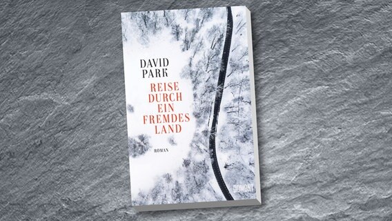 Cover des Buchs "Reise durch ein fremdes Land" von David Park © Dumont Verlag 