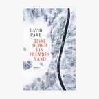 Cover des Buchs "Reise durch ein fremdes Land" von David Park © Dumont Verlag 