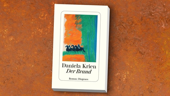 Cover von Daniela Kriens "Der Brand". © Diogenes 