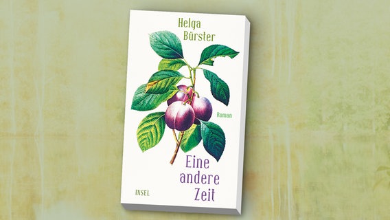 Cover von Helga Bürsters Buch "Eine andere Zeit" © Suhrkamp / Insel 