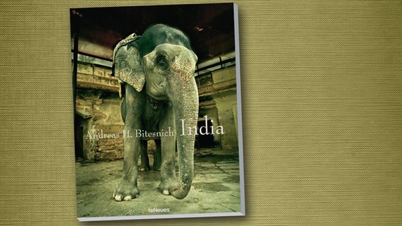 Andreas H. Bitesnich: India (Buchcover); Titel des Umschlagbildes: Elephant at Amber Fort, Jaipur, 2006 © 2011 Andreas H. Bitesnich / teNeues Verlag. All rights reserved. 