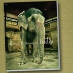 Andreas H. Bitesnich: India (Buchcover); Titel des Umschlagbildes: Elephant at Amber Fort, Jaipur, 2006 © 2011 Andreas H. Bitesnich / teNeues Verlag. All rights reserved. 