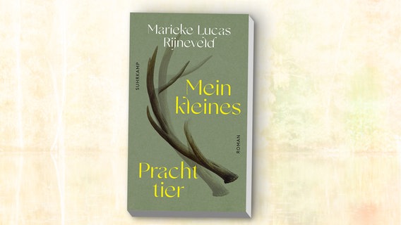 Marieke Lucas Rijneveld: "Mein kleines Prachttier". Übersetzt von Helga van Beuningen (Cover) © Suhrkamp 