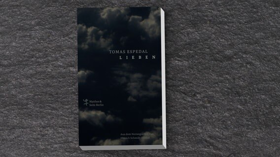 Tomas Espedal: "Lieben" (Cover) © Matthes & Seitz 