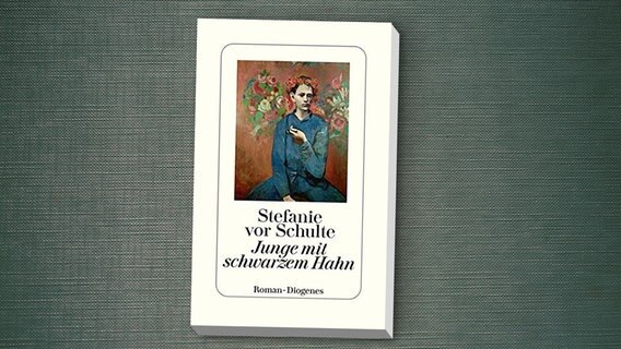 Cover von Stefanie vor Schultes "Junge mit schwarzem Hahn" © Diogenes Verlag 