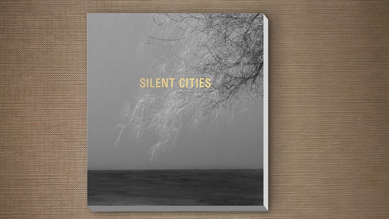 Cover des Buches "Silent Cities" von Mat Hennek, erschienen im Steidl Verlag © Steidl Verlag Foto: Mat Hennek