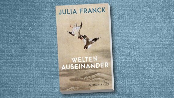Cover von Julia Francks "Welten auseinander" © Fischer Verlage 