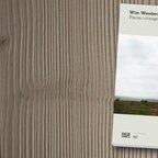Wim Wenders: Places, strange and quiet (Buchcover) © Hatje Cantz Verlag 