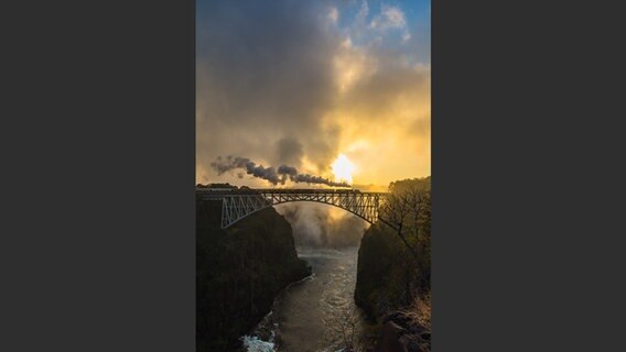 Zug auf Brücke vor tiefstehender Sonne © Axel Bozier, Monisha Rajesh, Zugvögel, Gestalten, 2021 Foto: Axel Bozier