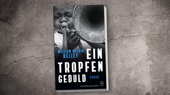 William Melville Kelley: "Ein Tropfen Geduld" (Cover) © Hoffmann und Campe 