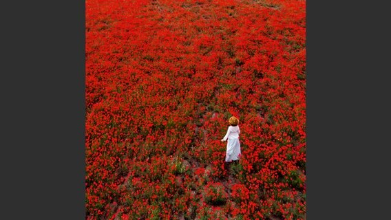 Bild aus: "The Beauty of Ukraine" © Yevhen Samuchenko Foto: Yevhen Samuchenko