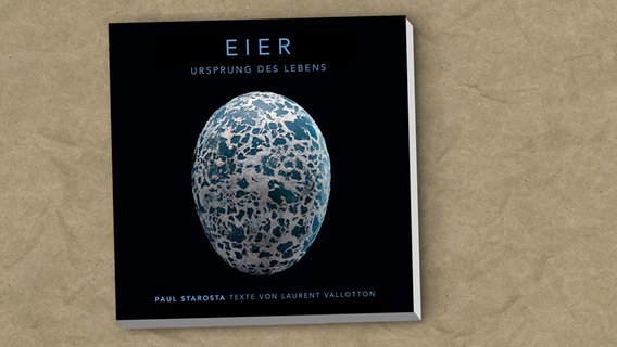 Paul Starosta: "Eier - Ursprung des Lebens" © Elisabeth Sandmann Verlag Foto: Paul Starosta