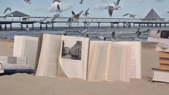 Bücher liegen am Strand, im Hintergrund fliegen Möwen um eine Seebrücke © Geert Maciejewski 