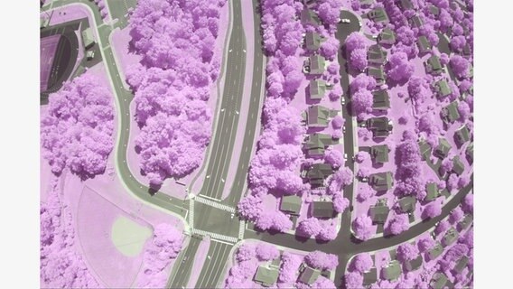 Public Lab: Infragram-Projekt zur Pflanzengesundheit, Blick auf Potomac-Falls, 2018  Foto: © Public Lab