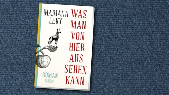 Cover des Buchs "Was man von hier aus sehen kann" von Mariana Leky © Dumont Verlag 