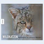"Wildkatzen - Rückkehr in unsere Wälder" (Cover) © Knesebeck Verlag Foto: Klaus Echle