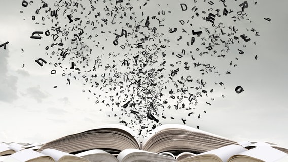 Buchstaben fliegen aus einem aufgeklappten Buch © fotolia Foto: Sergey Nivens
