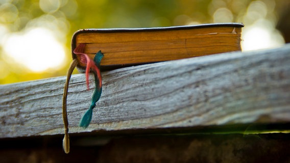 Ein altes Buch liegt im Grünen auf einem Holzbrett. © photocase.de Foto: nukanute