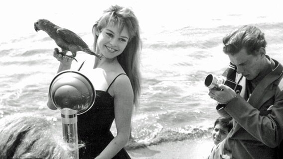 Die französische Filmschauspielerin Brigitte Bardot posiert bei den Filmfestspielen von Cannes mit einem Papagei für die Fotografen, April 1956 © dpa/picture-alliance 