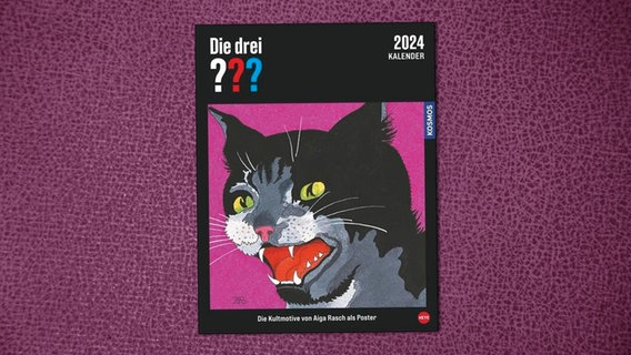 Ein Cover von Aiga Rasch für einen Roman der drei ??? © Kosmos Verlag 