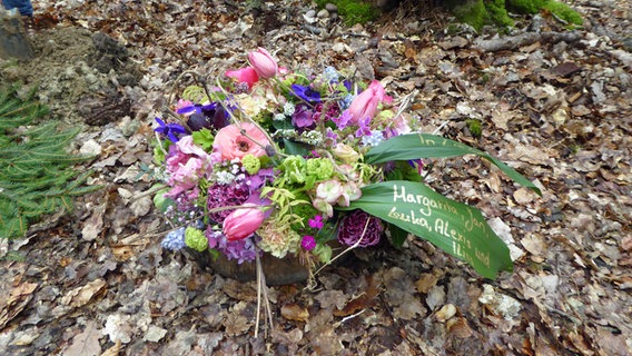 Blumen für Despina im Friedwald in der Eifel, ihrer letzten Ruhestätte  