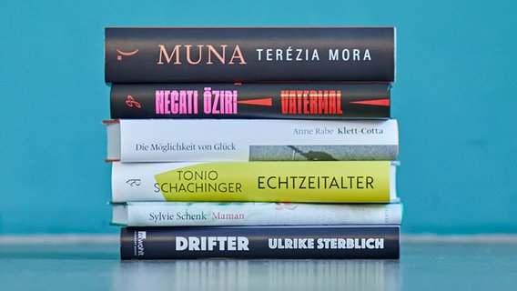Die Buchrücken der nominierten Romane © Christof Jakob 