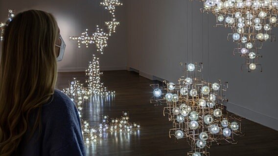 Fragile Future III, 2005, Lichtskulptur, Phosphorbronze, Löwenzahn, LED, Elektronik © Henning Rogge Foto: Henning Rogge