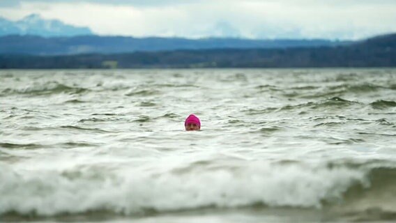 Wigald Boning badet im Meer © NDR Screenshot 