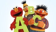 Ernie, Elmo und Bert mit grünen Buchstaben von der Sesamstraße zum 50. Geburtstag der Sendung © Sesame Workshop NDR 