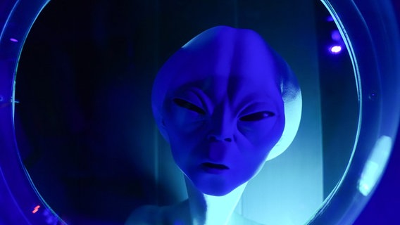 Ein blauer Kopf mit schmalen Augen - Darstellung eines Aliens. © picture alliance / ZUMAPRESS.com | Bryan Smith Foto: Bryan Smith
