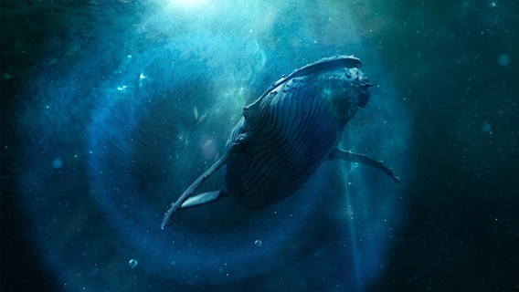 Ripresa CGI subacquea di una balena che nuota per il documentario "The Swarm - Documentario: quanto sono pericolose le balene?" Sul sito web di ZDF © ZDF / Julian Balducci Foto: ZDF e Julian Balducci