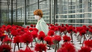 Eine Wissenschaftlerin (Emily Beecham) mit Gesichtsmaske beobachtet im Labor rote Blumen - Szene aus "Little Joe" von Jessica Hausner ©  coop99 The Bureau Essential Film 