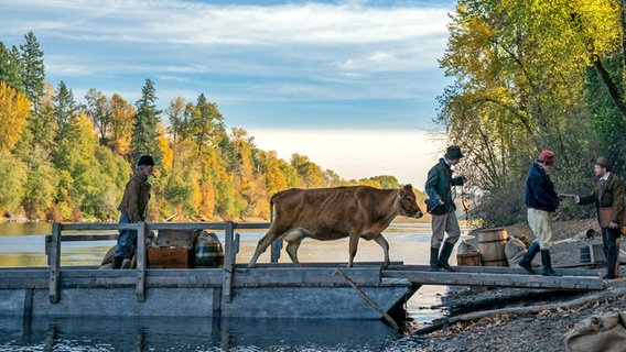 Szene mit einer Kuh auf einer Brücke aus dem Western "First Cow" von Kelly Reichardt © Allyson Riggs - A24 Films Foto: Allyson Riggs