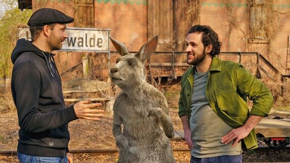 Marc-Uwe Kling (Regie) mit dem Känguru (Das Känguru) und Dimitrij Schaad (Marc-Uwe) - Dreharbeiten zu "Die Känguru Verschwörung" von Dani Levy © Stefan Erhard für X Filme Creative Pool, X Verleih Foto: Stefan Erhard