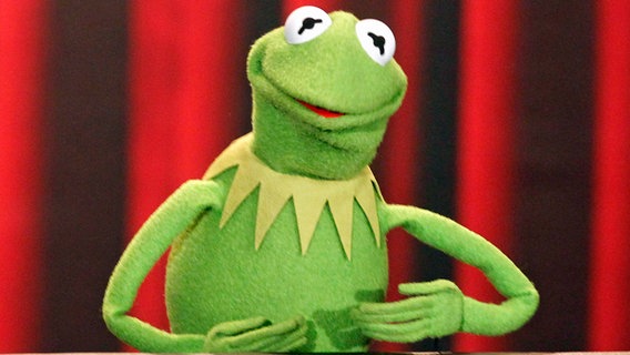 Kermit der Frosch © IMAGO / Berlinfoto 