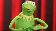 Kermit der Frosch © IMAGO / Berlinfoto 