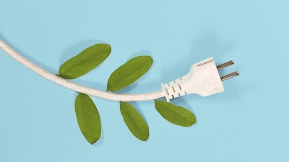 Ein Stromkabel mit grünen Blättern - Symbolbild für Ökostrom © picture alliance / Zoonar | Firn 