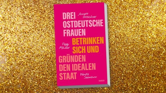 Cover: "Drei ostdeutsche Frauen betrinken sich und gründen den idealen Staat" © Hanser Literaturverlage 