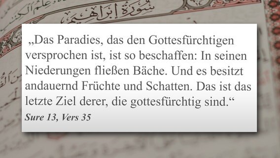 Montage: Ein Vers aus dem Koran, im Hintergrund sieht man arabische Schriftzeichen. © NDR 