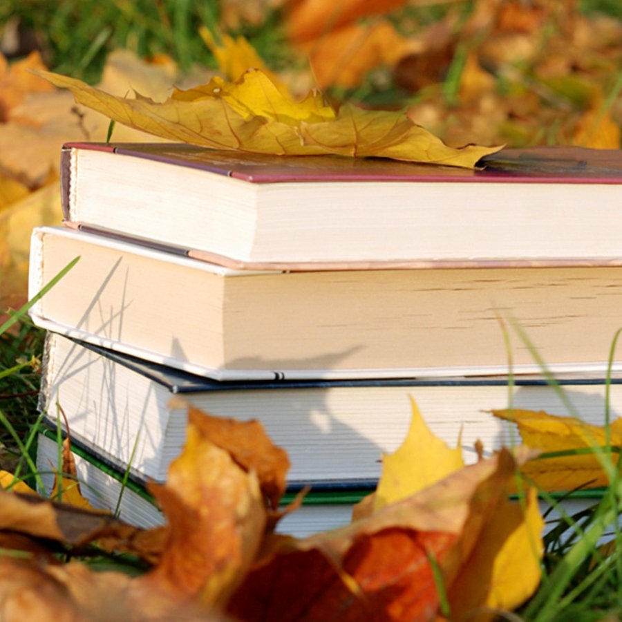 Bücherstapel liegt im Laub © Fotolia.com Foto: Lilyana Vynogradova